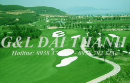 Thiết kế sân golf