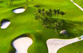 Thiết kế sân tập golf