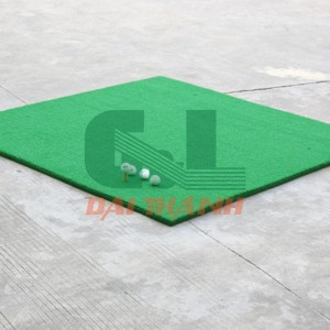 Thảm Swing 2D SP03