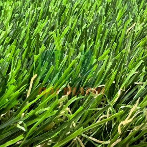 Cỏ Sân Vườn ĐT-SV35