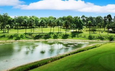 Quy trình thiết kế thi công mini golf