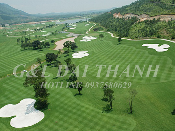 thiet ke thi cong sang golf
