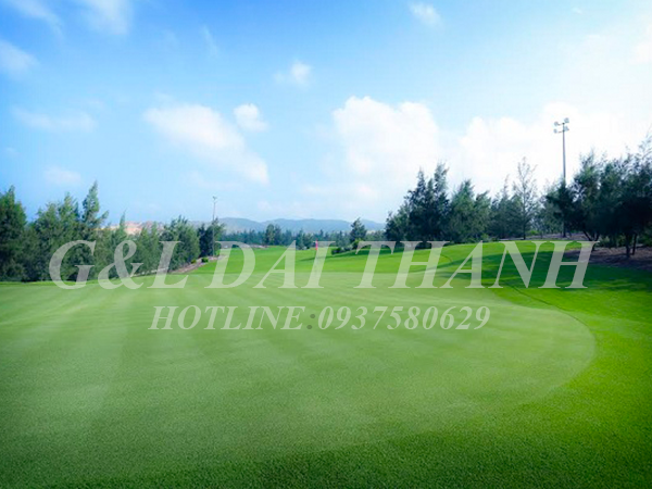 thiet ke thi cong san golf